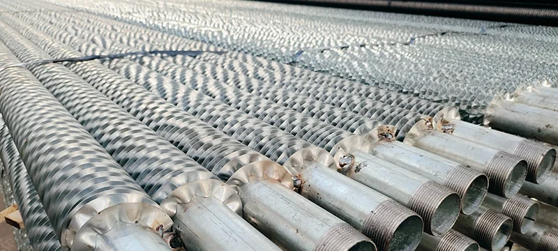 yy21