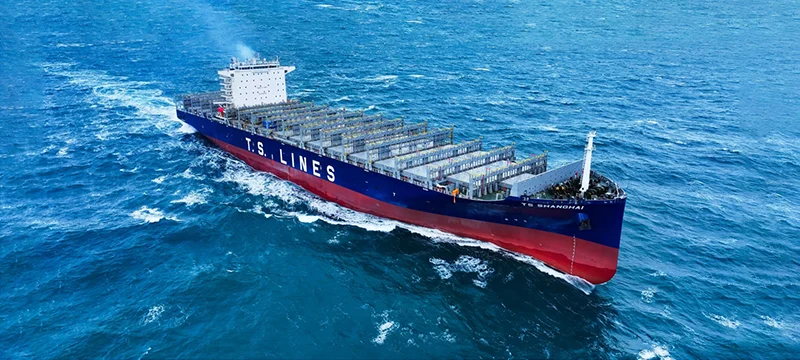yy5
