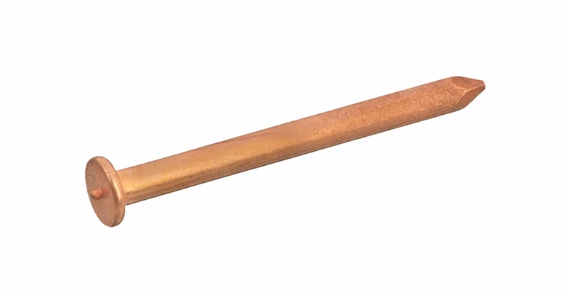 lz p4