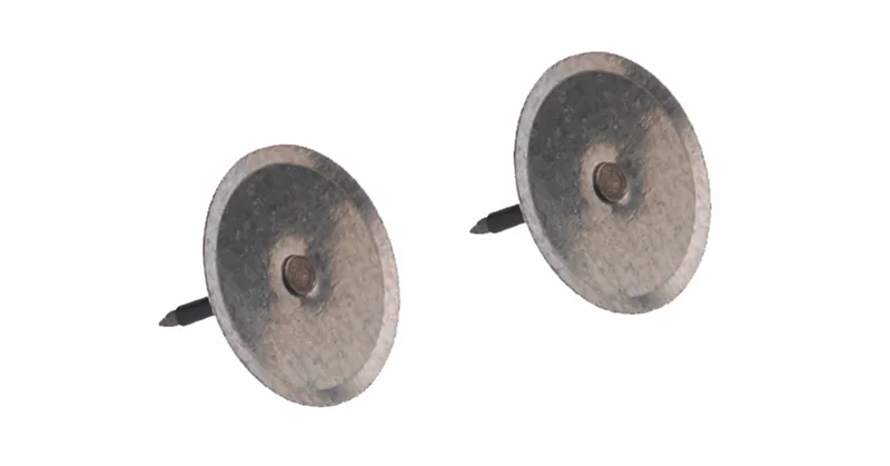 lz p5