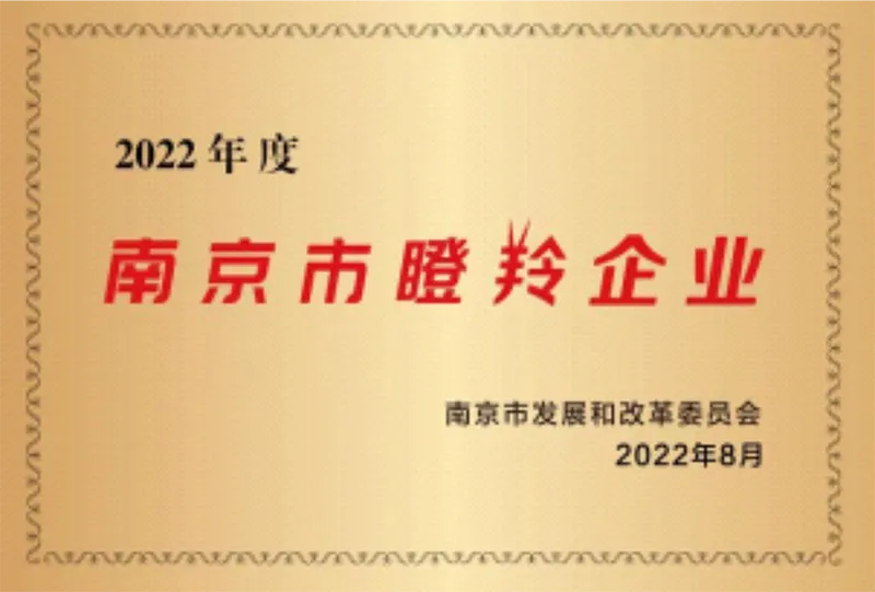 rz 5